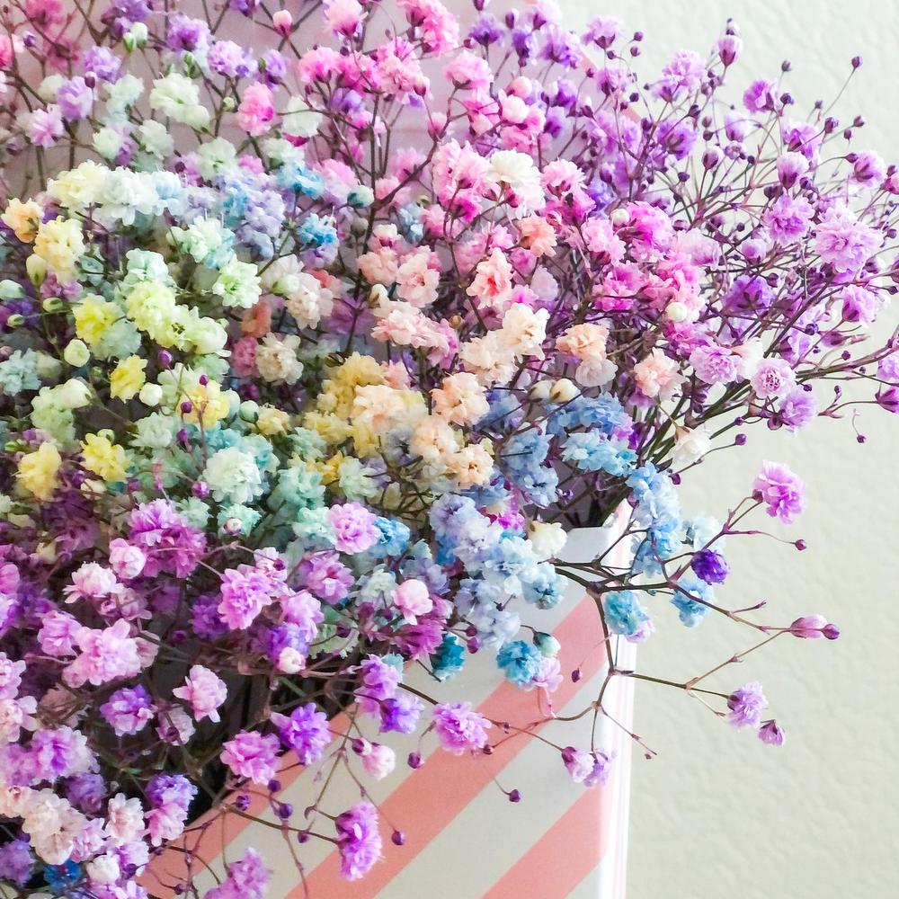 Цветочное письмо, из гипсофилы